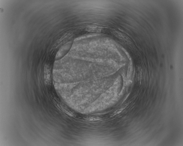 X0000062131154200601060850