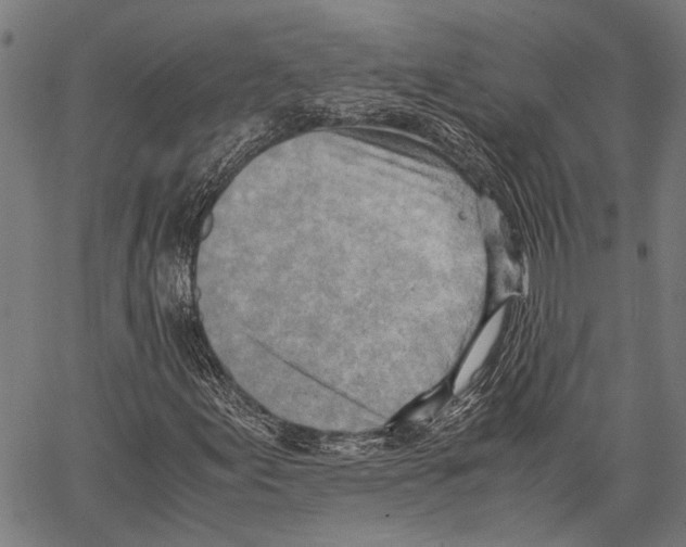 X0000062131155200601060850