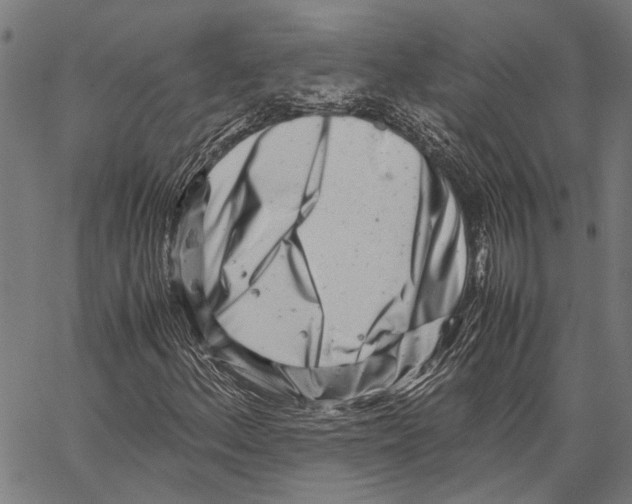 X0000062131156200601060850