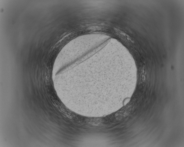 X0000062131158200601060850