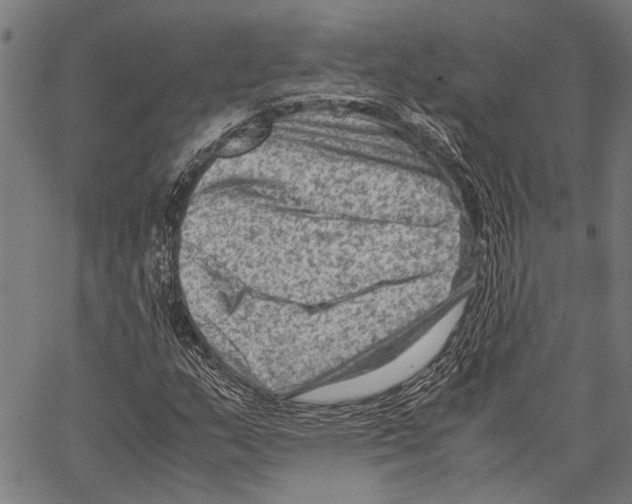 X0000062131159200601060850