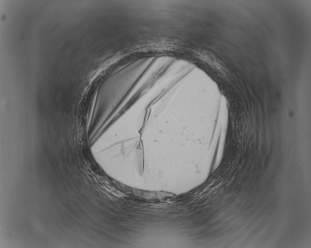 X0000062131160200601060850