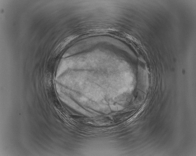 X0000062131161200601060850