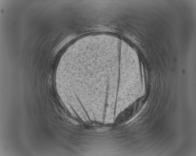 X0000062131163200601060850