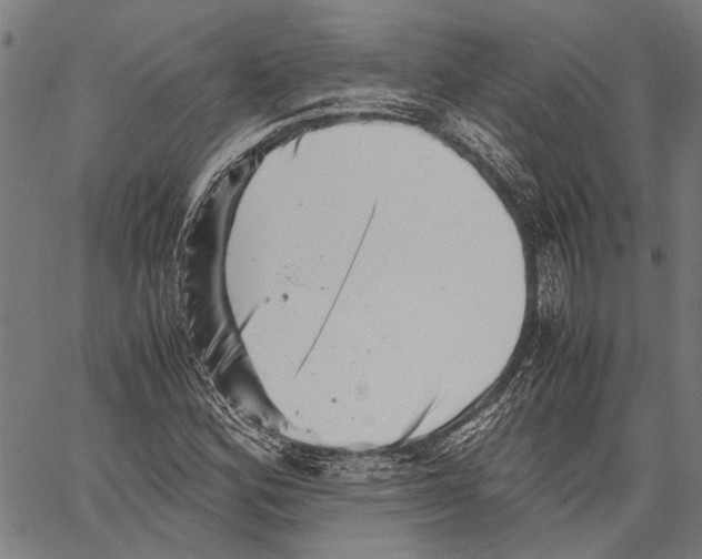 X0000062131164200601060850