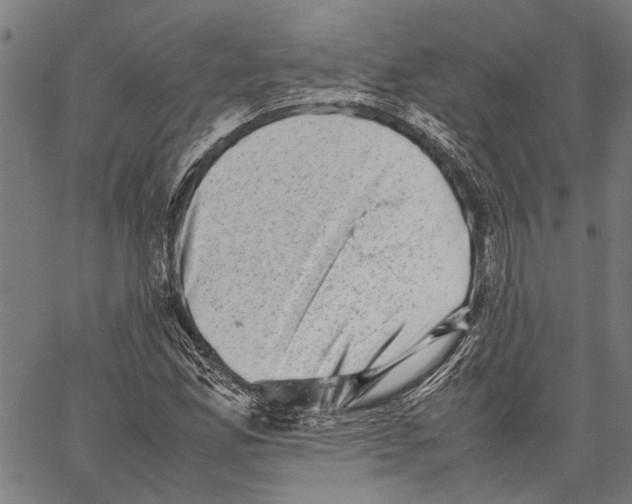 X0000062131165200601060850