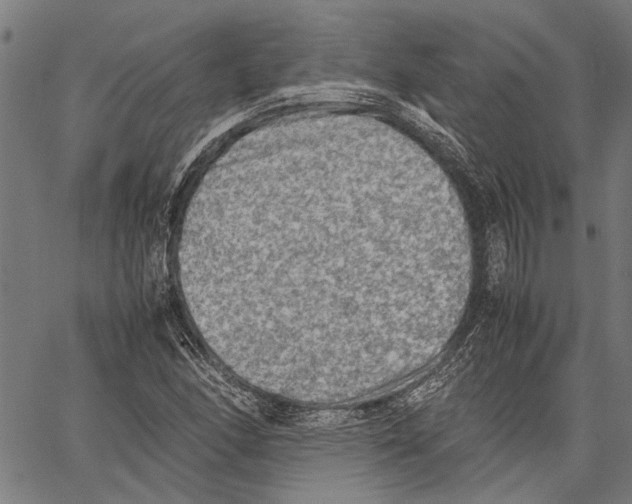 X0000062131166200601060850