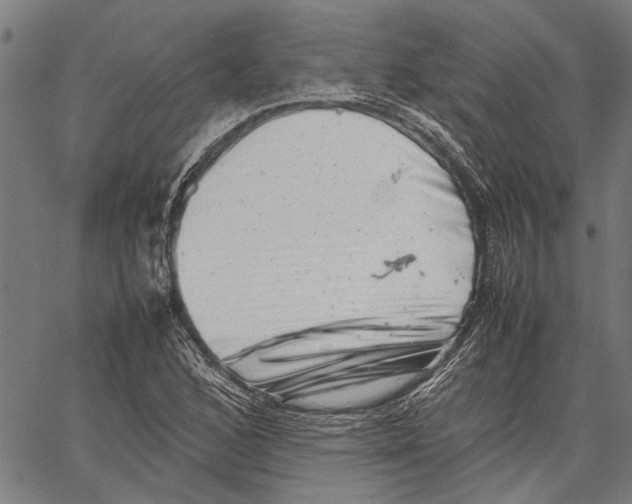 X0000062131168200601060850