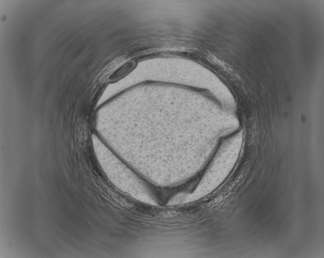 X0000062131169200601060850