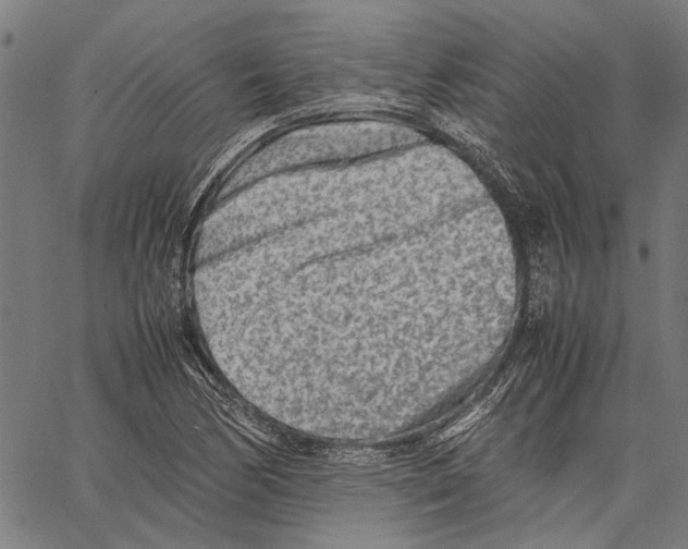 X0000062131170200601060850