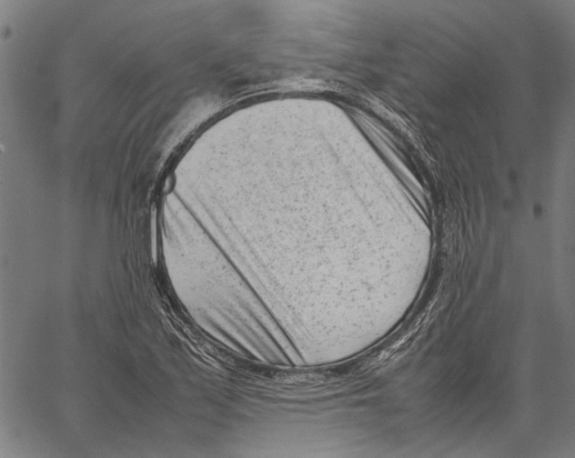 X0000062131171200601060850