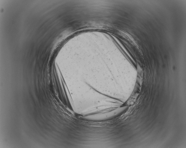 X0000062131172200601060850