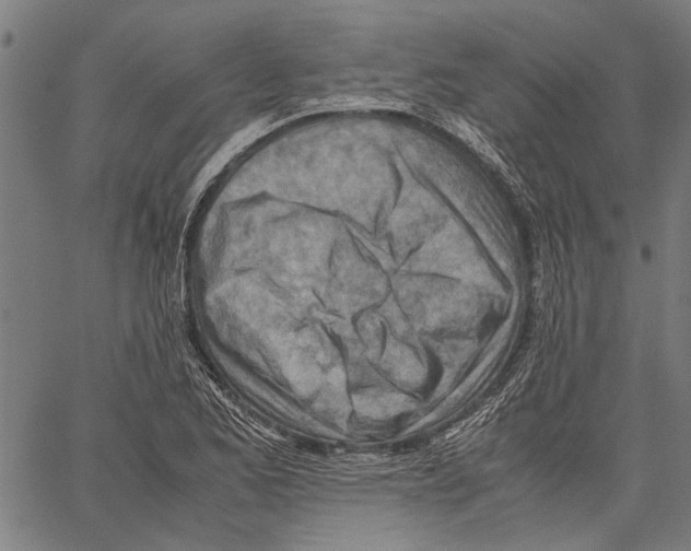 X0000062131173200601060850