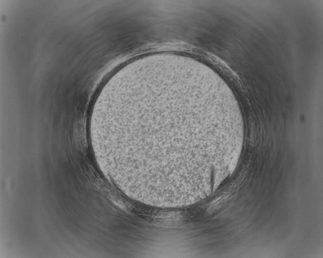 X0000062131174200601060850