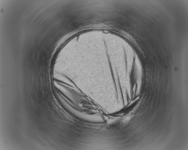 X0000062131176200601060850