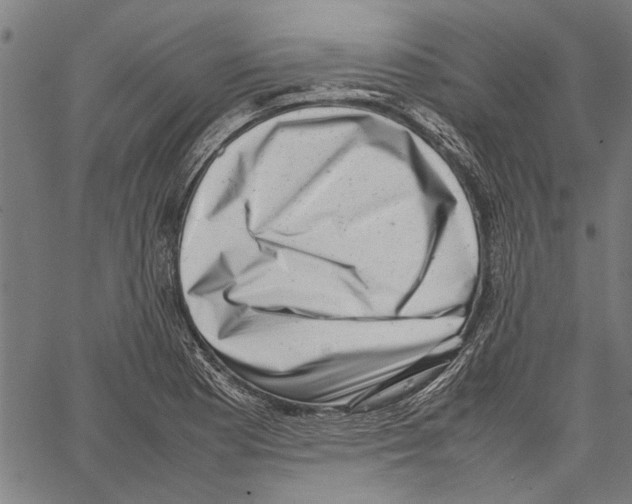 X0000062131177200601060850