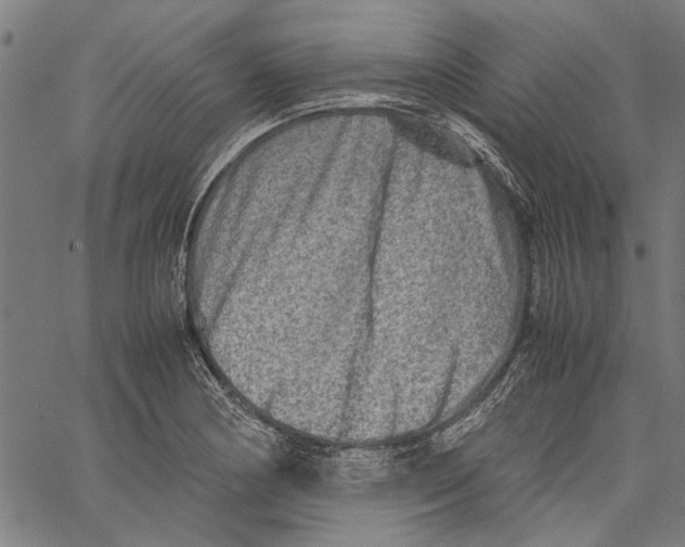 X0000062131178200601060850