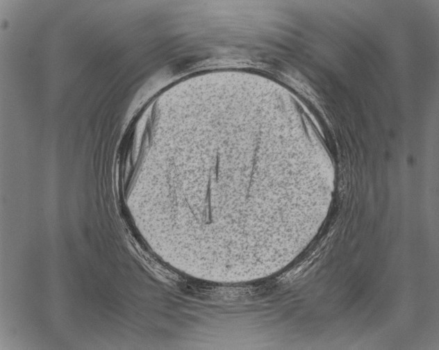 X0000062131179200601060850