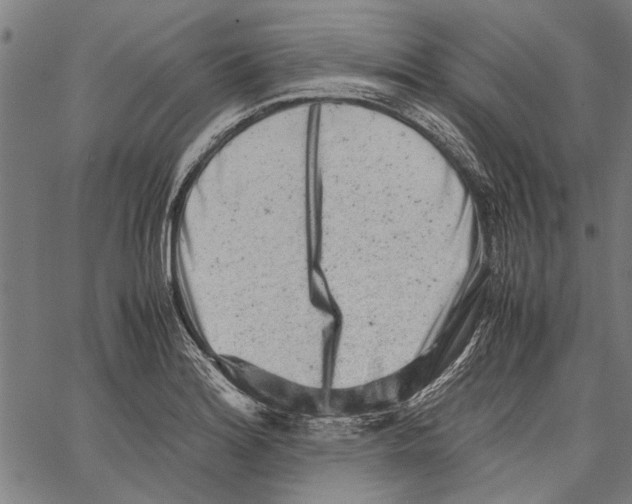 X0000062131180200601060850