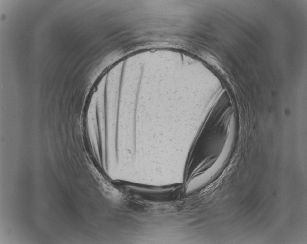 X0000062131181200601060850