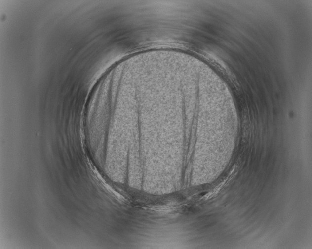 X0000062131182200601060850