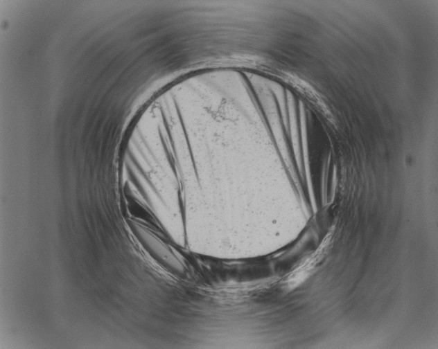 X0000062131184200601060849