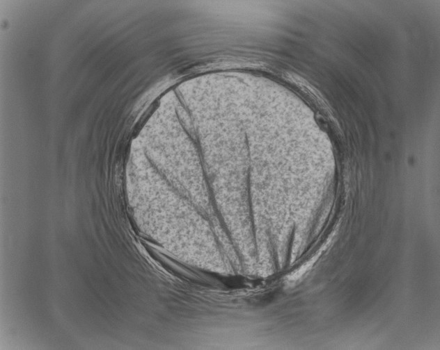 X0000062131185200601060849