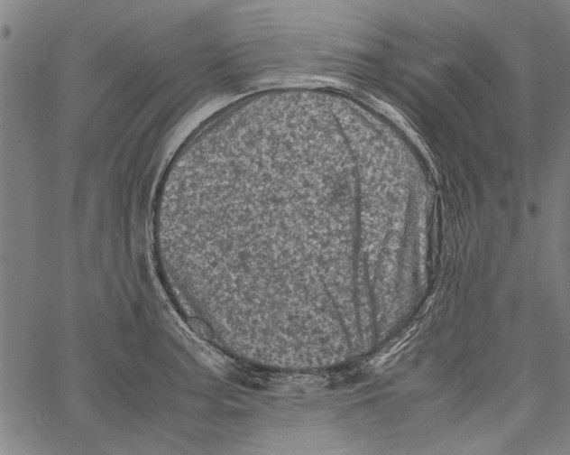 X0000062131187200601060849