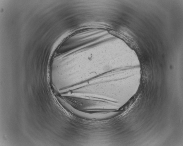 X0000062131188200601060849