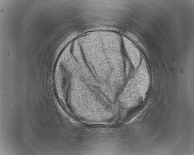 X0000062131189200601060849