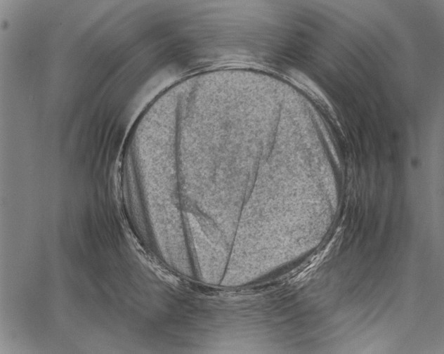 X0000062131190200601060849