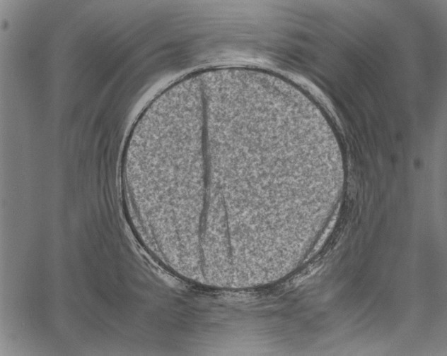 X0000062131191200601060849