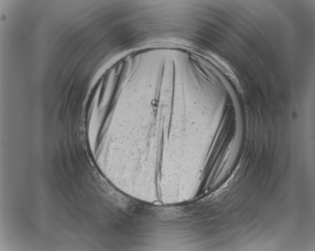 X0000062131192200601060849