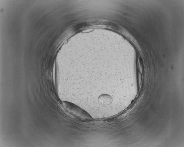 X0000062131193200601060849