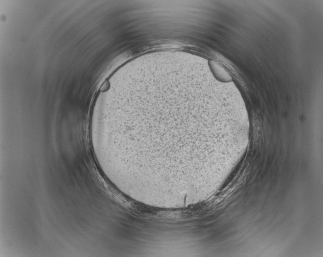 X0000062131194200601060849