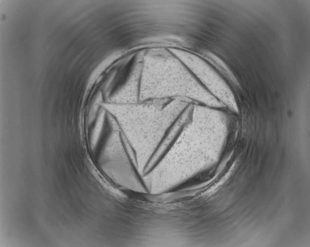 X0000062131196200601060849