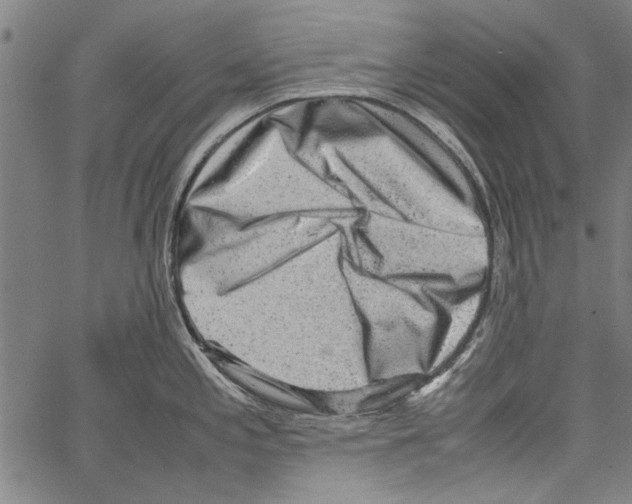 X0000062131197200601060849