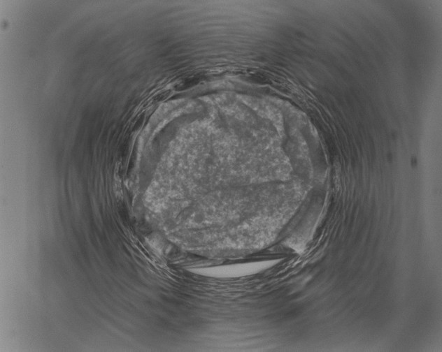 X0000062131202200601060848