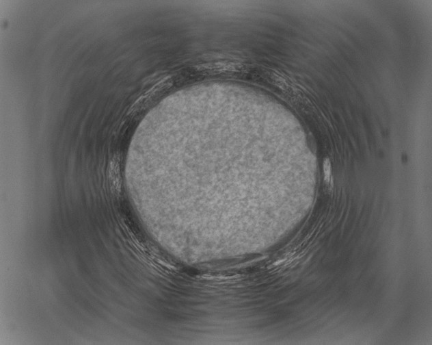 X0000062131203200601060848