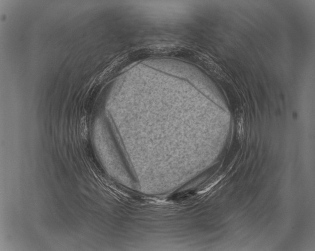 X0000062131204200601060848