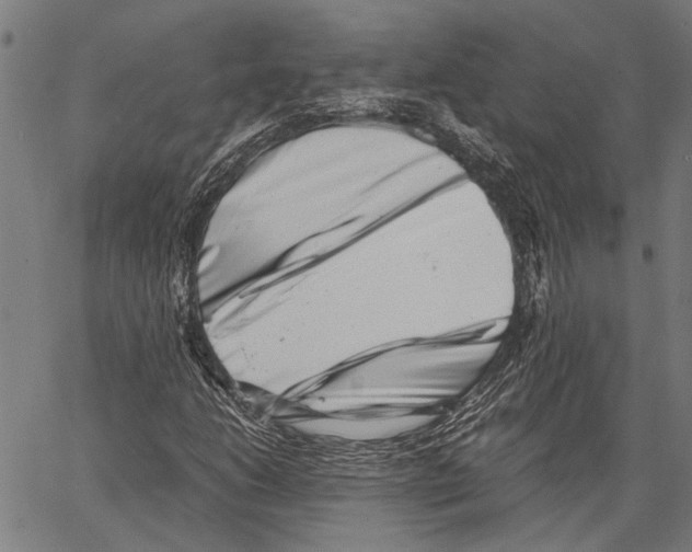 X0000062131206200601060849