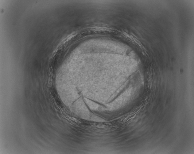 X0000062131207200601060849