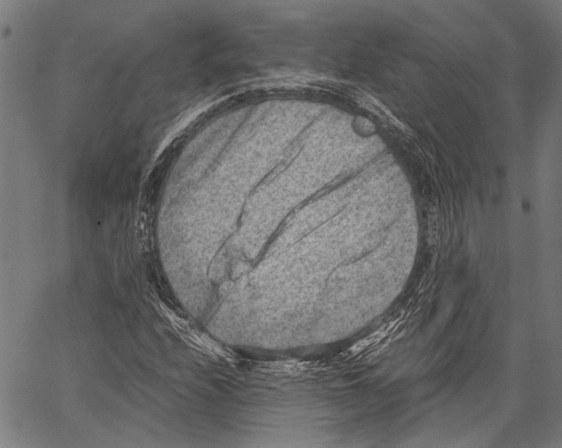 X0000062131208200601060849