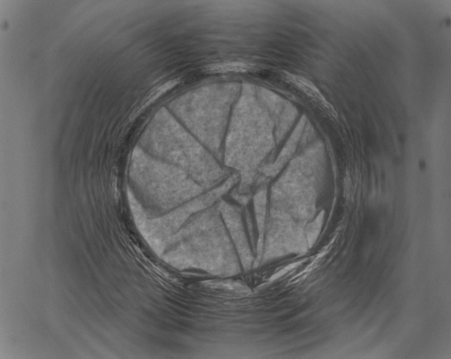 X0000062131209200601060849