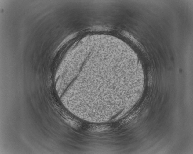 X0000062131213200601060849