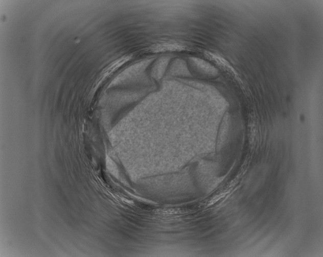 X0000062131217200601060849