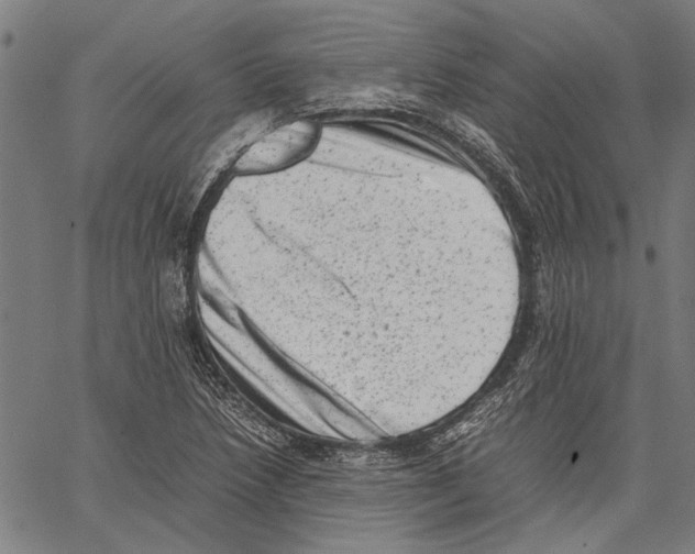 X0000062131218200601060849