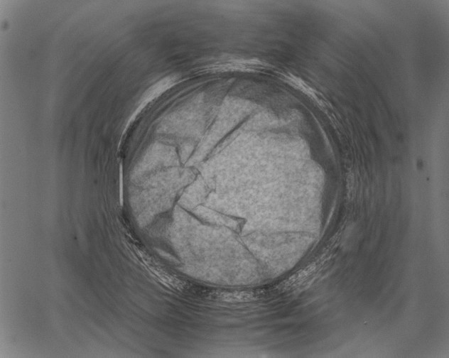 X0000062131219200601060849