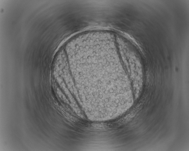 X0000062131220200601060849