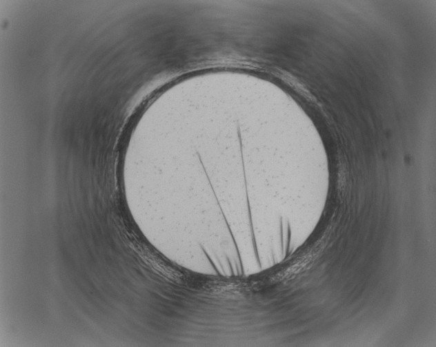 X0000062131222200601060849